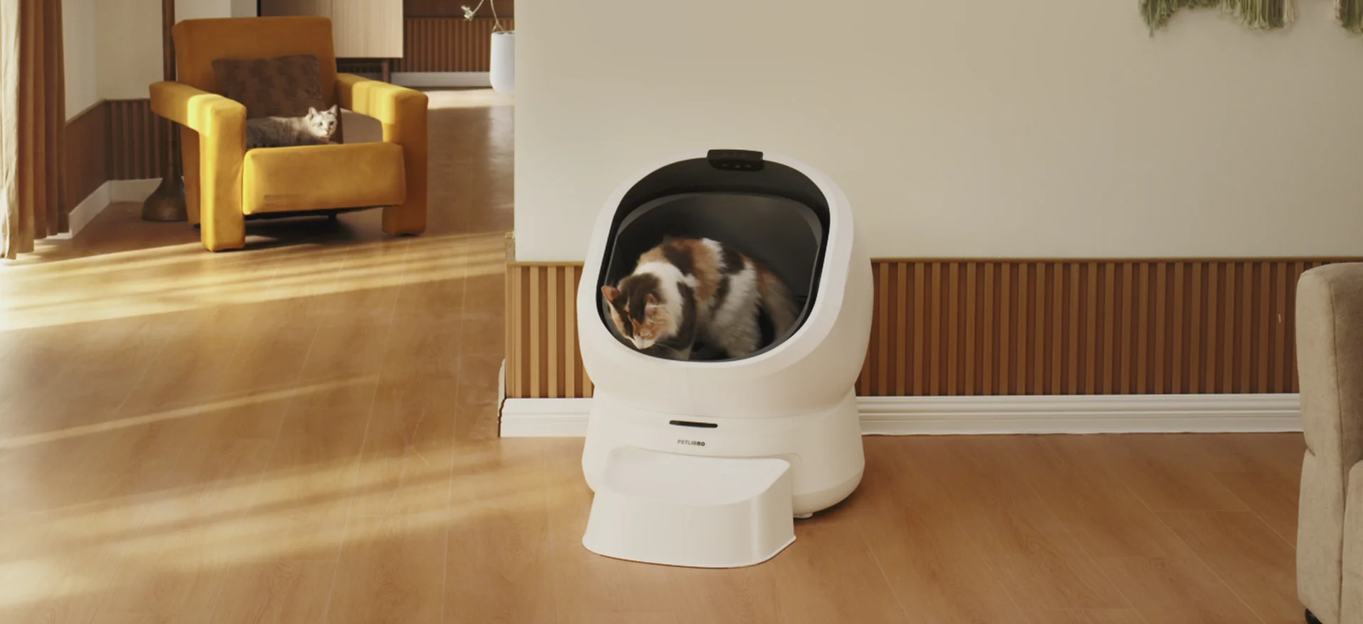 Elevated Tech for Happy Pets