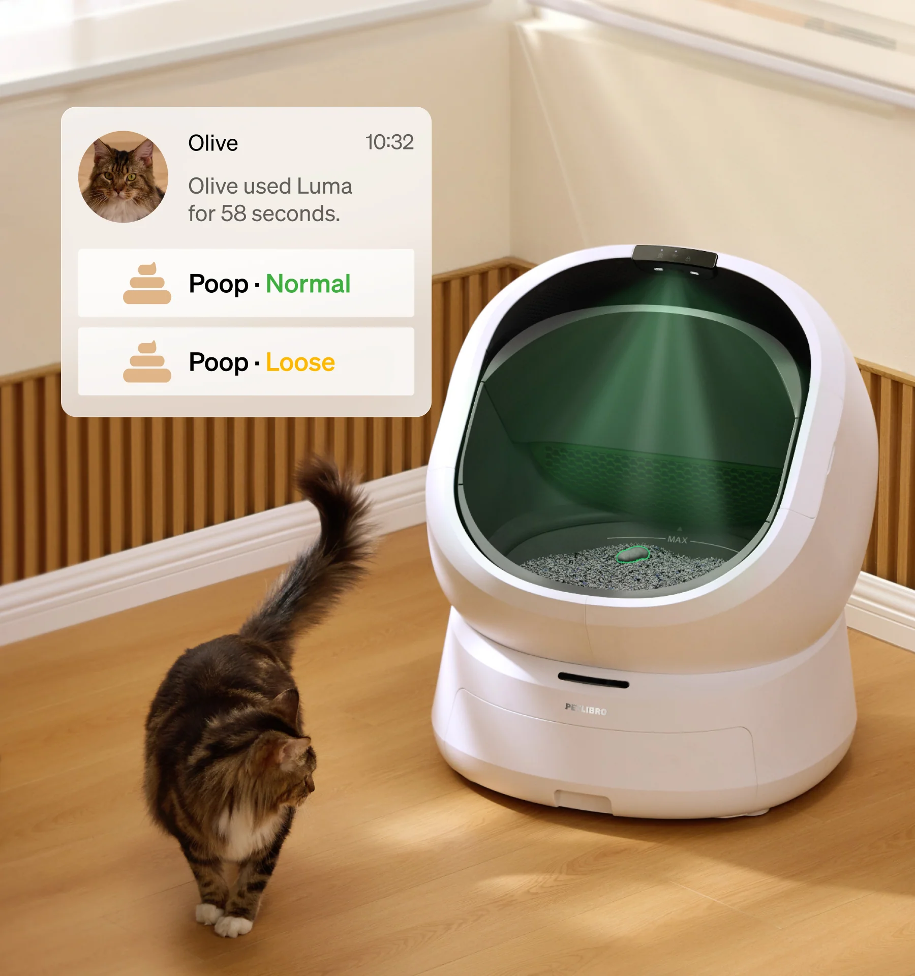 Luma Smart Litter Box for pet - Image 6