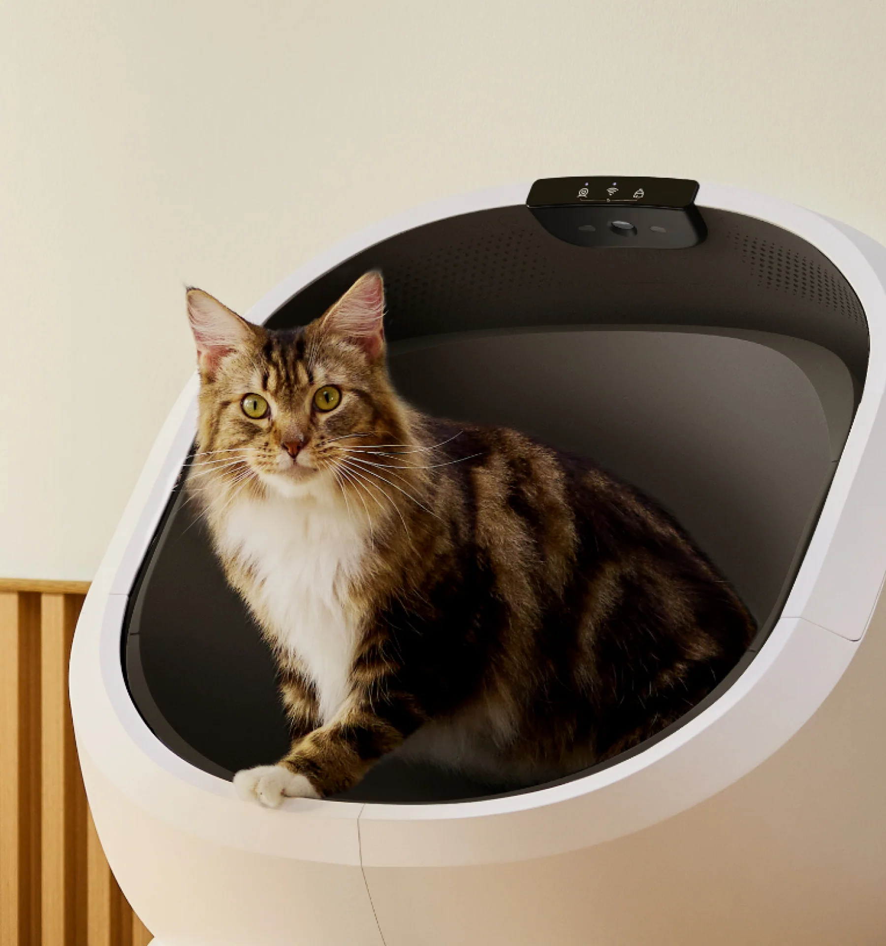 Luma Smart Litter Box - Image 5