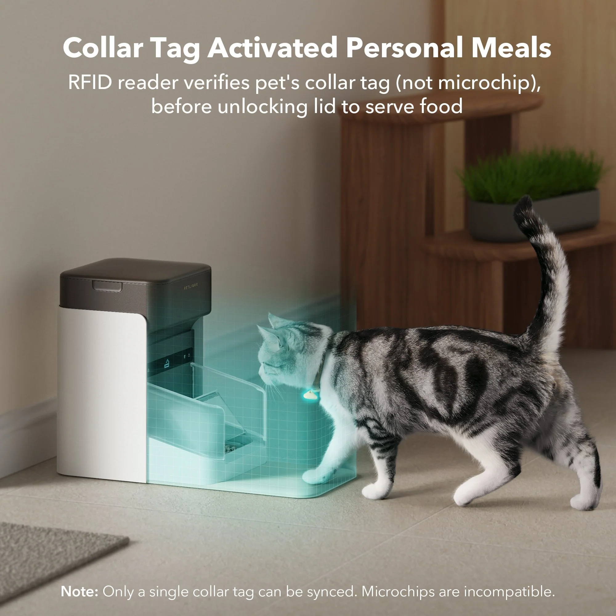 One RFID Smart Feeder for pet - Image 3