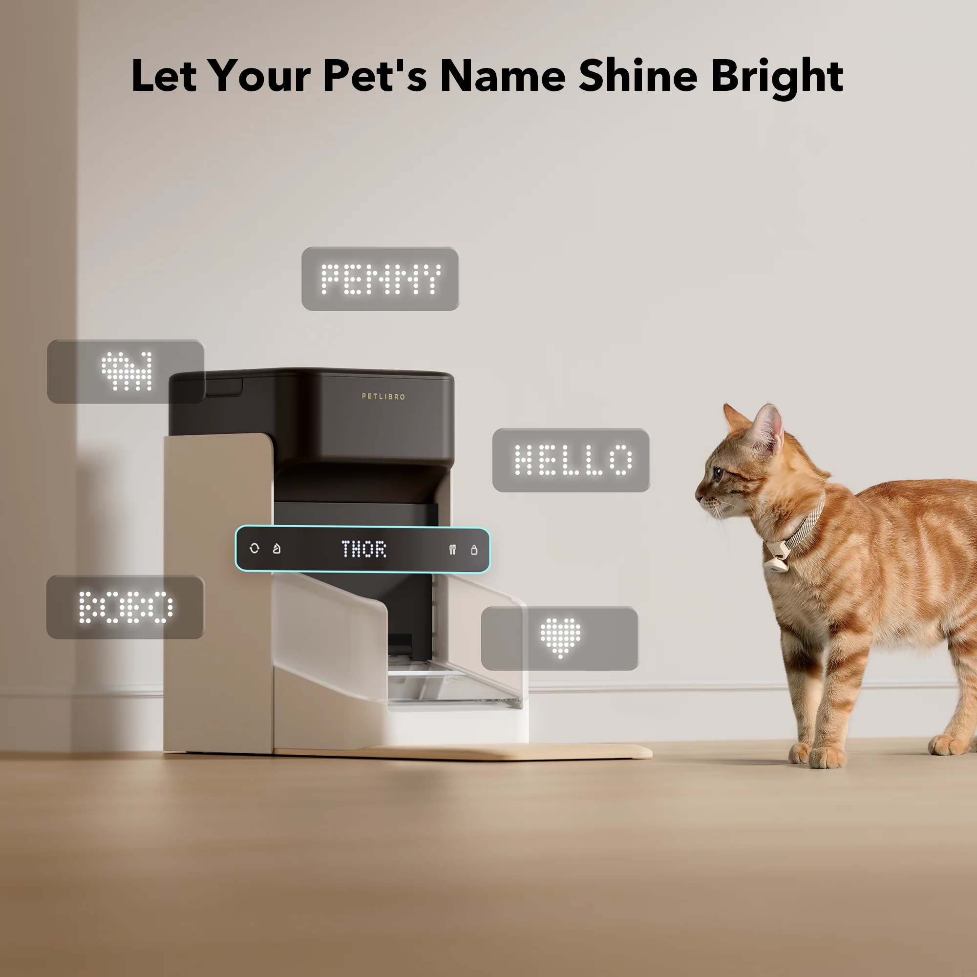 One RFID Smart Feeder for pet - Image 8