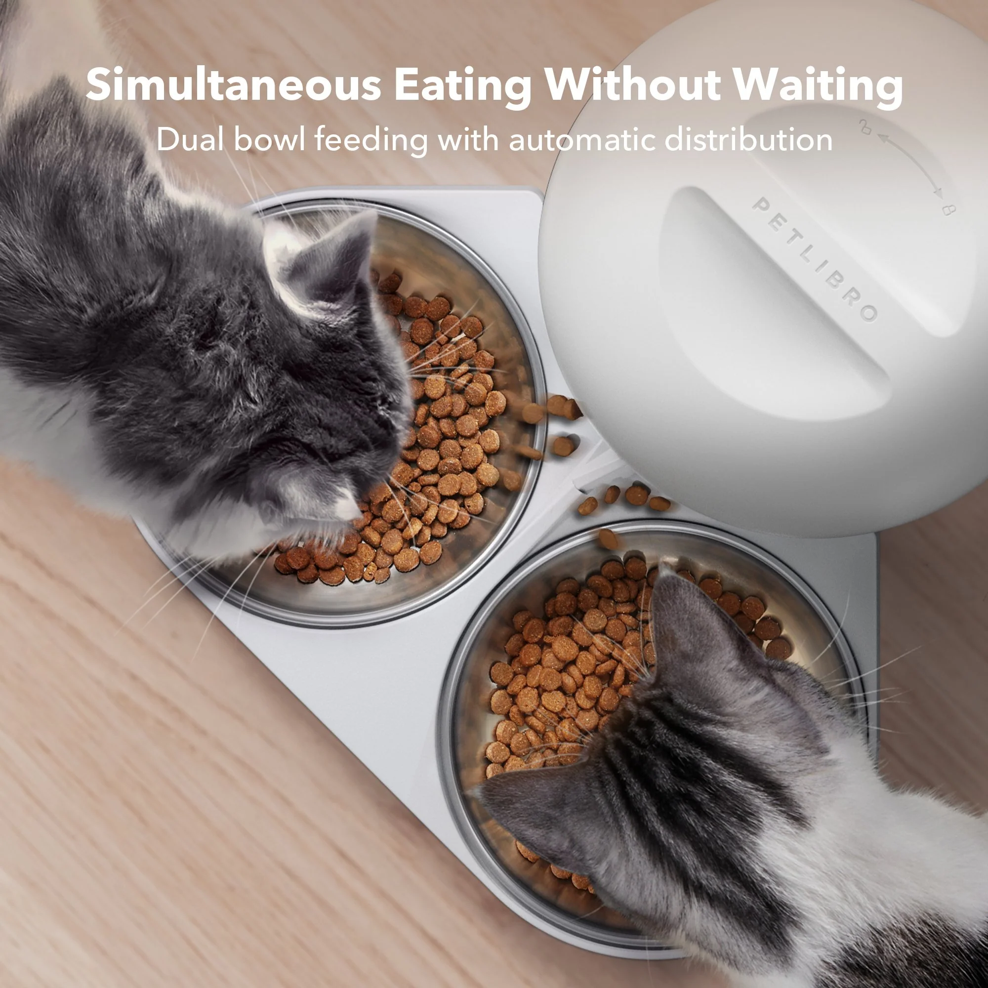Granary Automatic Feeder Dual Bowl - Image 3