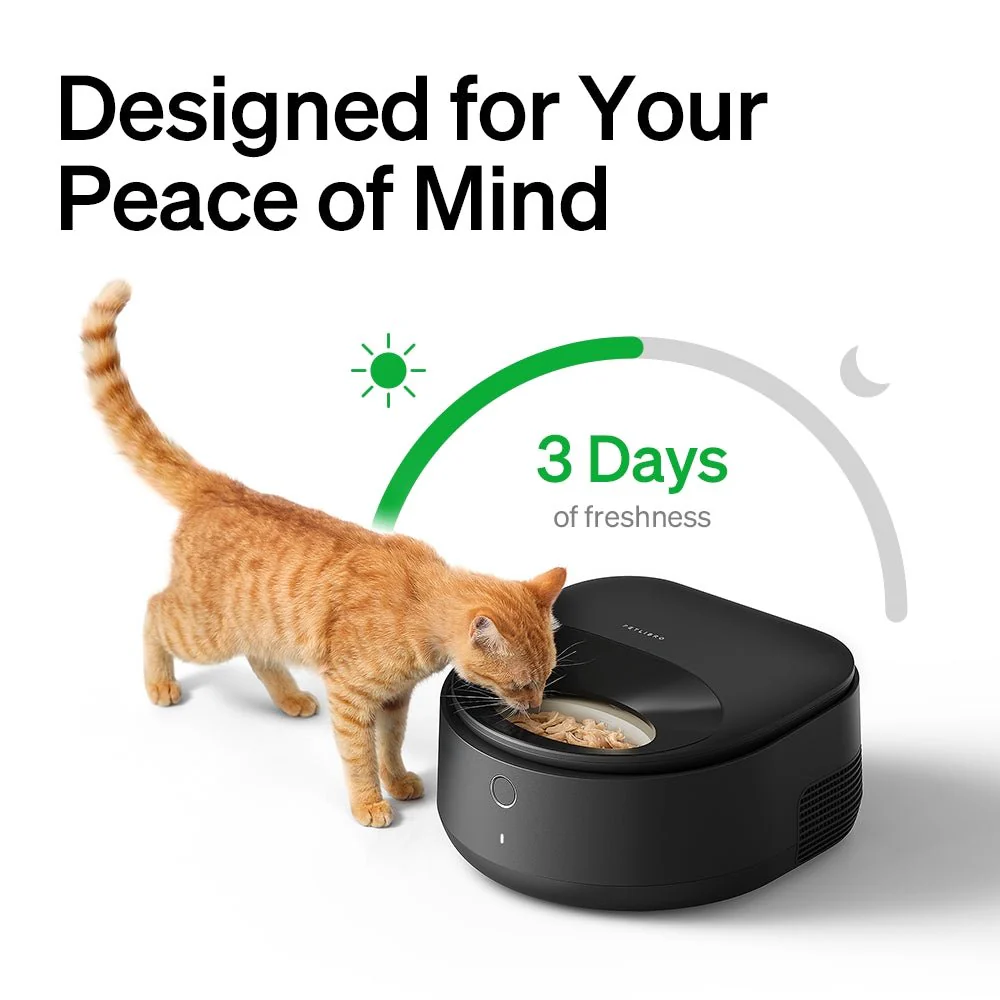 Polar Wet Food Feeder & Granary Camera Feeder Bundle - Image 7