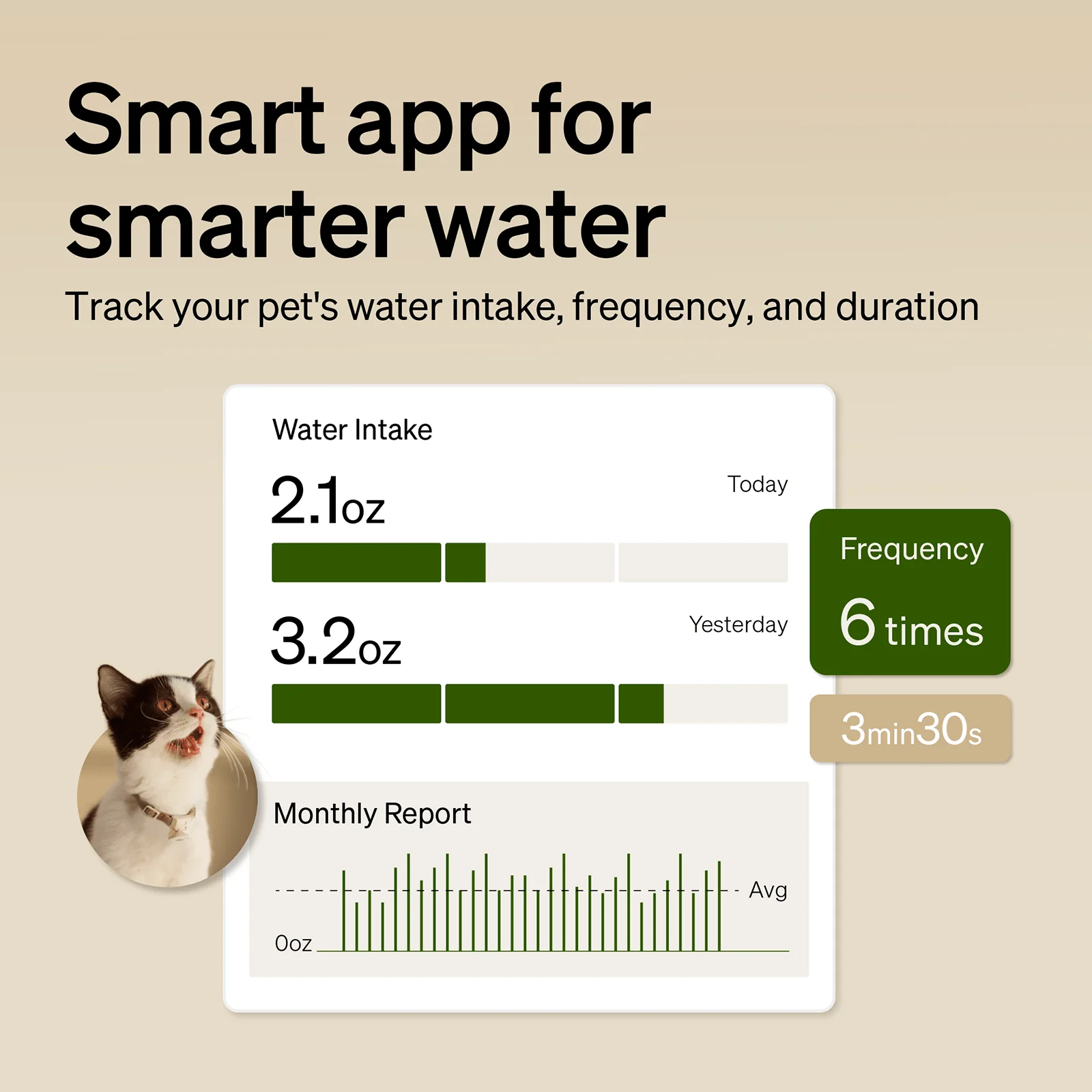 RFID Smart Feeder & Dockstream 2 Smart Cordless Fountain Bundle - Image 3