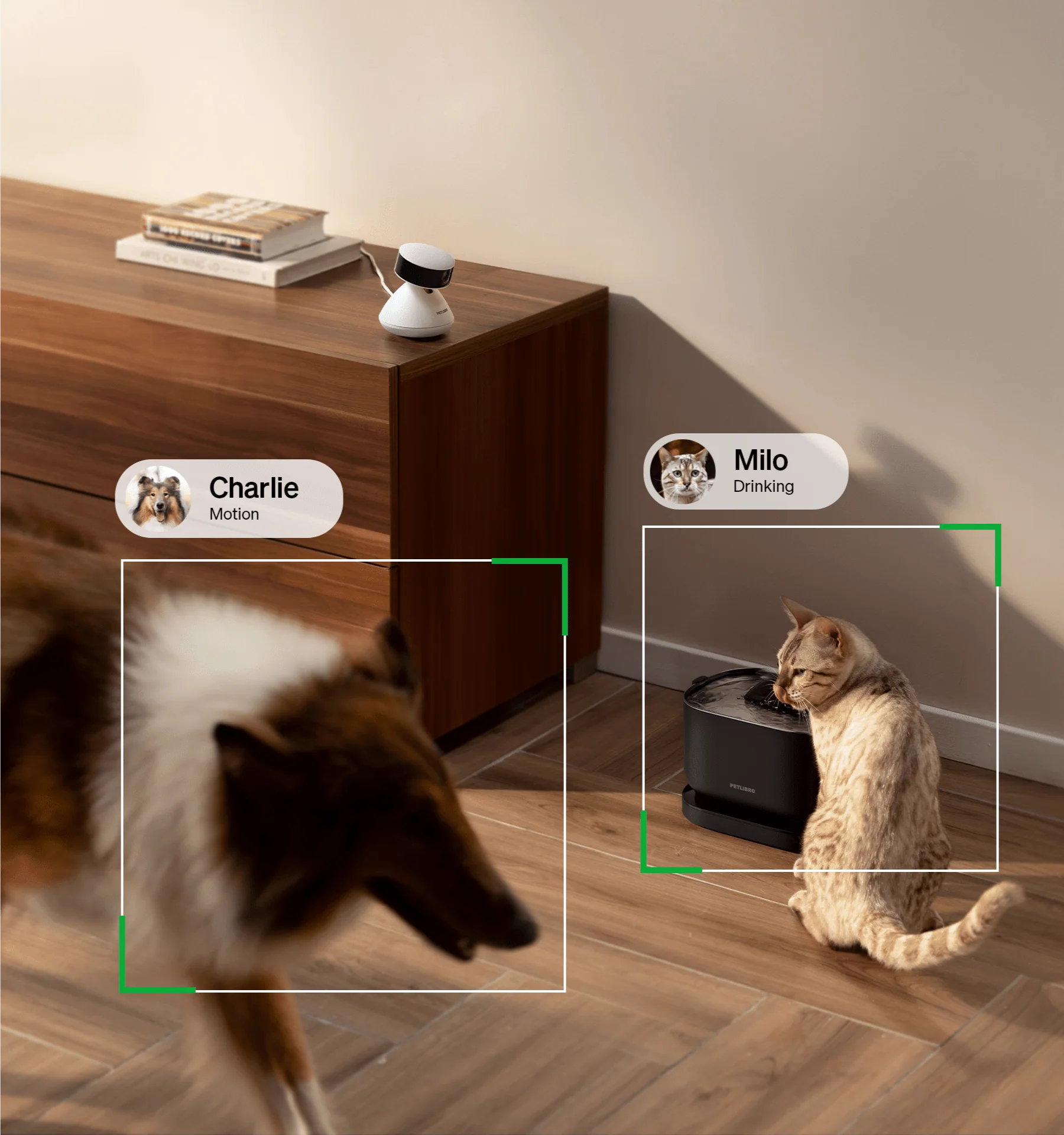 RFID Smart Feeder & Scout Smart Camera - Image 9