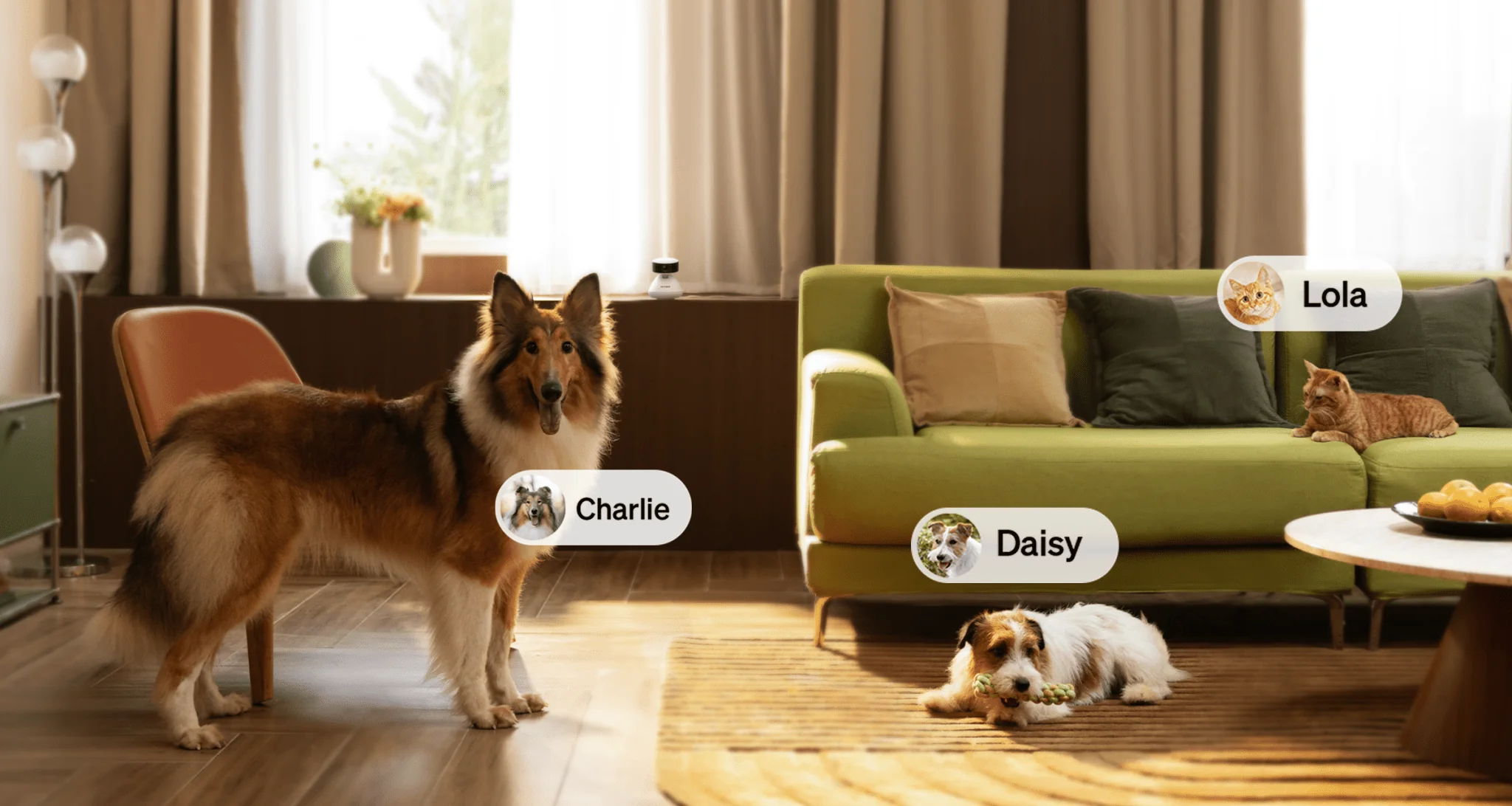 Scout Smart Camera for pet - Image 4