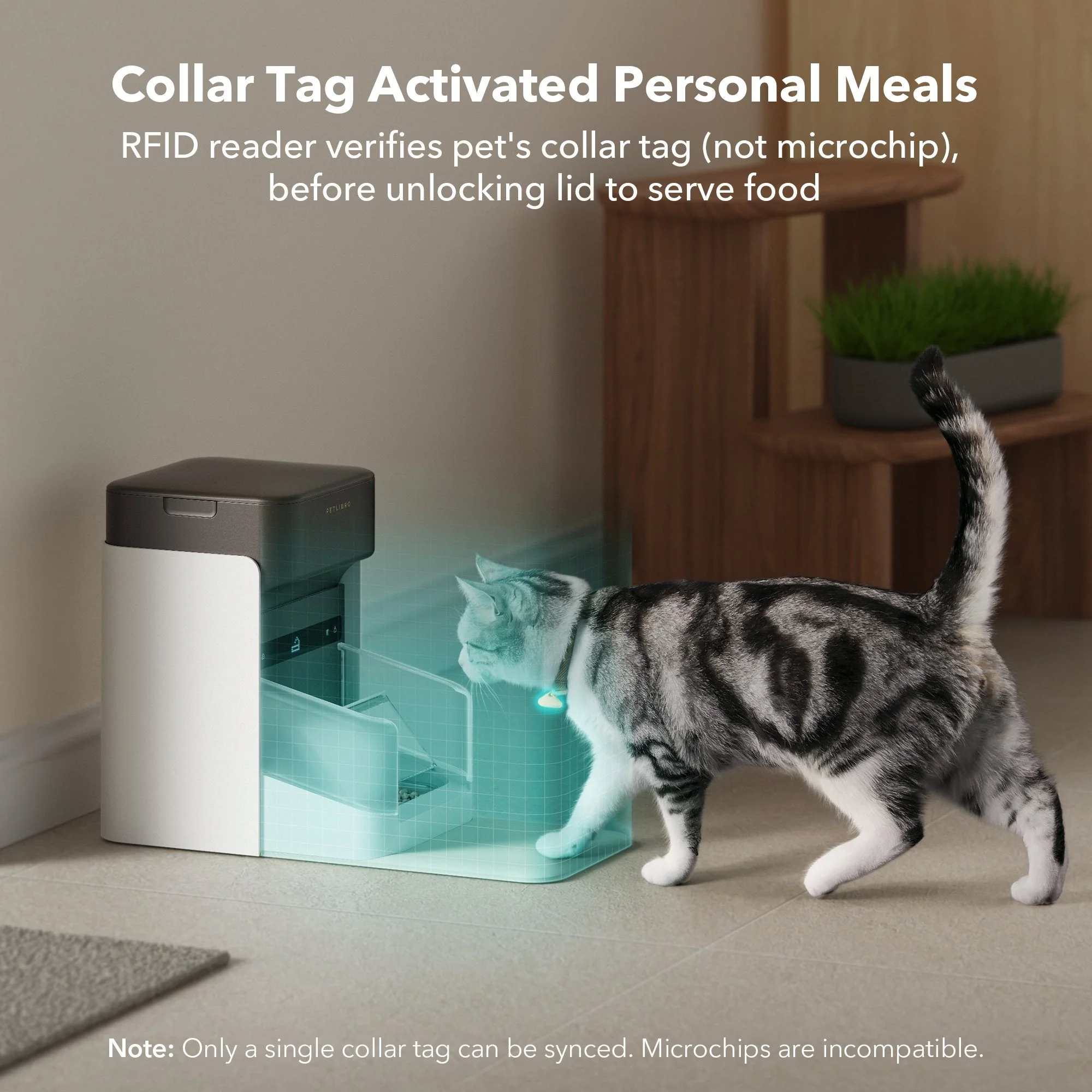 RFID Smart Dining Bundle - Image 9