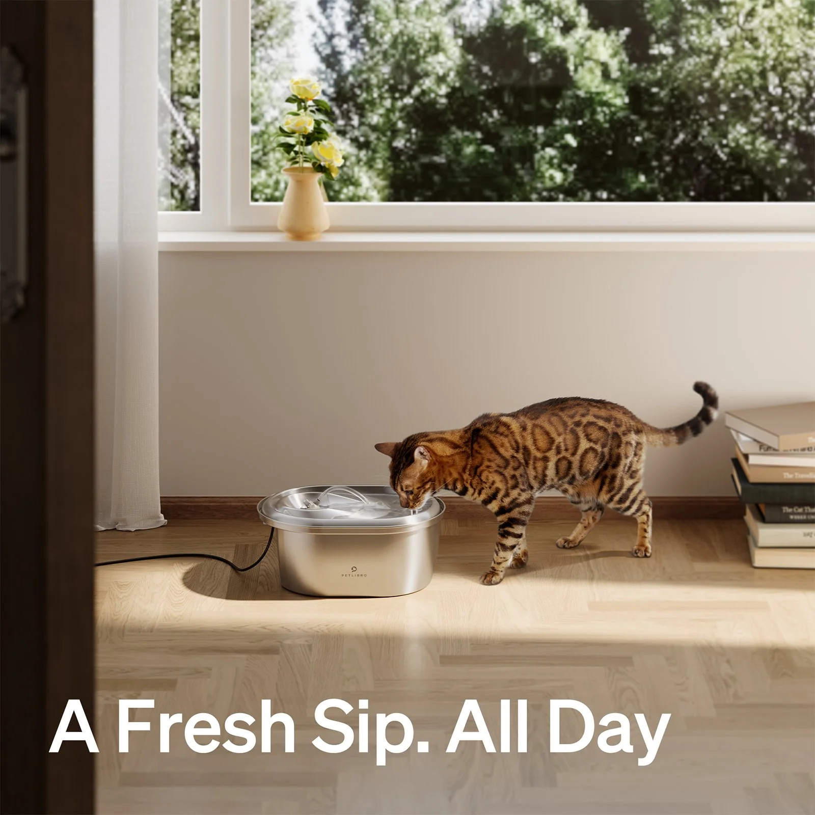 Stainless Steel Fountain for pet - Image 6