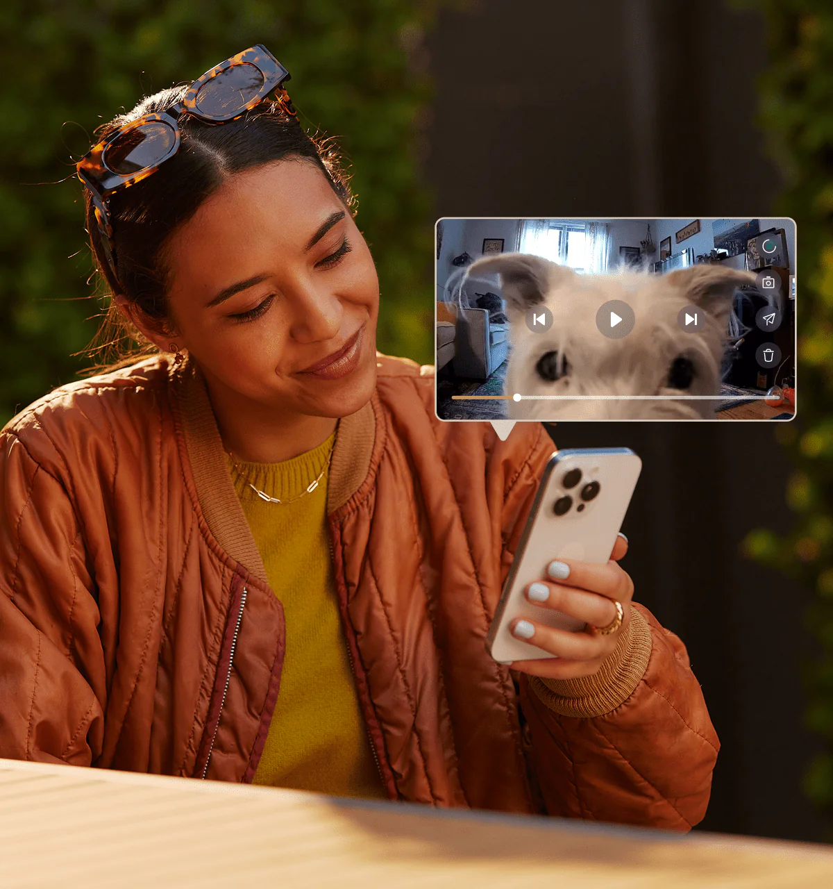 Petlibro Video Cloud AI - Image 6