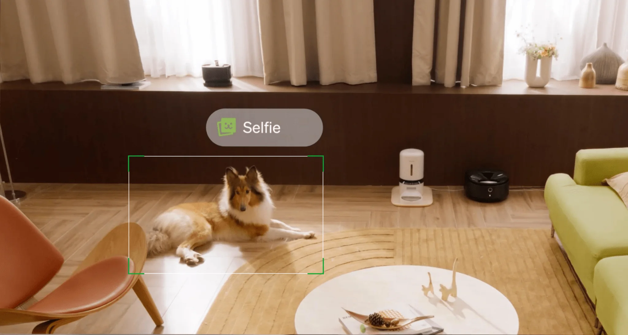 Petlibro Video Cloud AI - Image 7